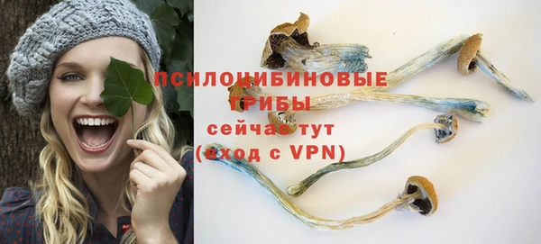 соль ск Кукмор