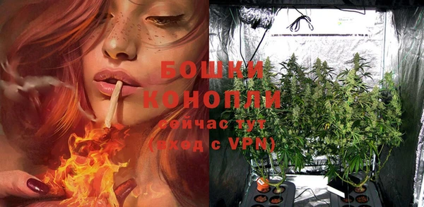 соль ск Кукмор