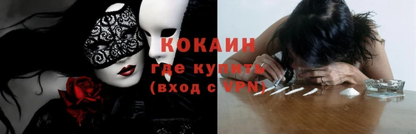 соль ск Кукмор