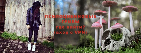 соль ск Кукмор