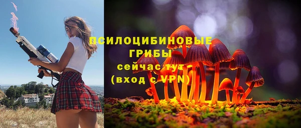 соль ск Кукмор